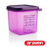 61390 GN 1/6 PP anti-allergic container 2.6L