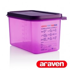61392 GN1/4 PP anit-allergic container 4.3L